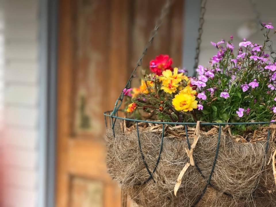 Robin Hoods Well Farm Stay Sassafras Zewnętrze zdjęcie