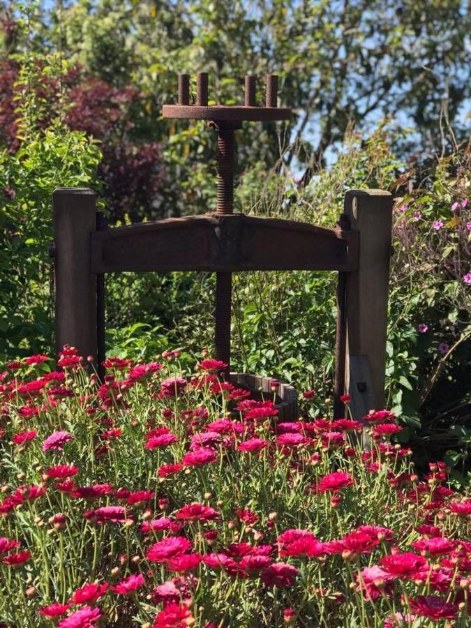 Robin Hoods Well Farm Stay Sassafras Zewnętrze zdjęcie