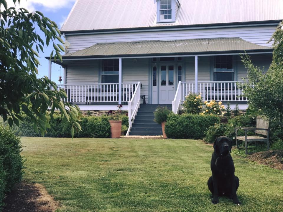 Robin Hoods Well Farm Stay Sassafras Zewnętrze zdjęcie