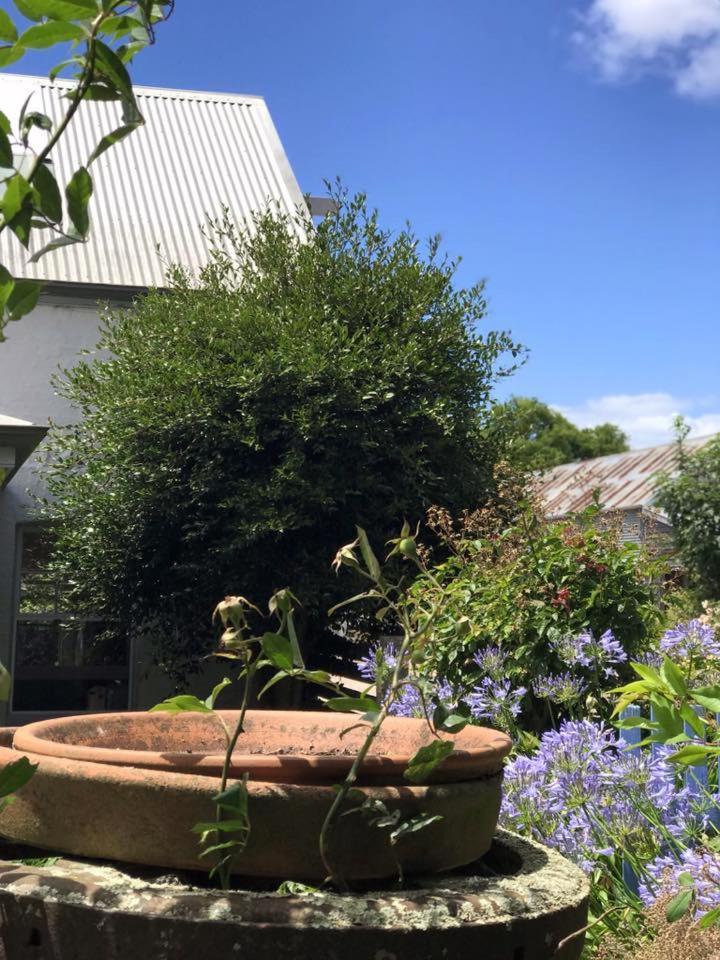 Robin Hoods Well Farm Stay Sassafras Zewnętrze zdjęcie