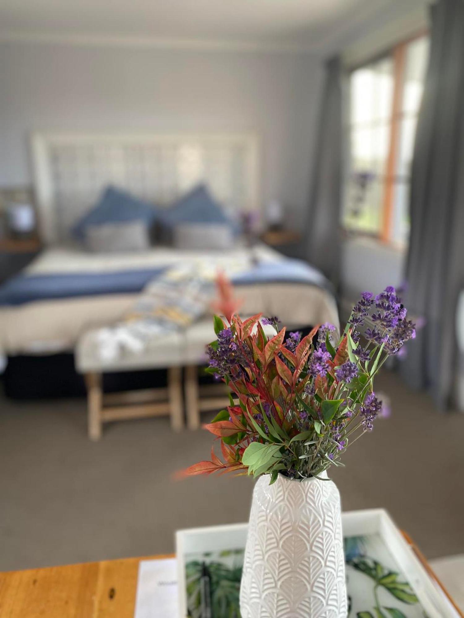 Robin Hoods Well Farm Stay Sassafras Zewnętrze zdjęcie