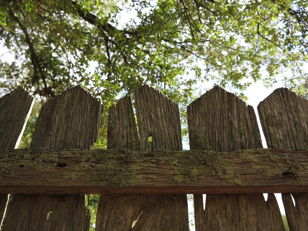 Robin Hoods Well Farm Stay Sassafras Zewnętrze zdjęcie