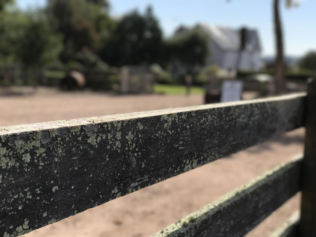 Robin Hoods Well Farm Stay Sassafras Zewnętrze zdjęcie